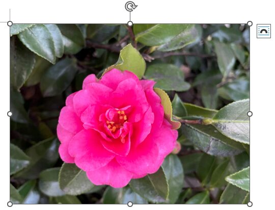 テキストボックスが消えた画像