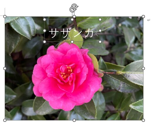 画像とテキストボックスを［Ctrl］キーを使って選択