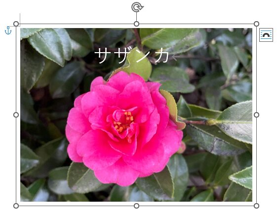 画像とテキストボックスをグループ化