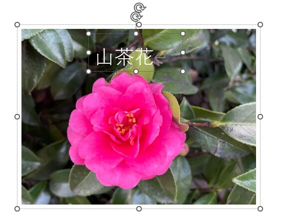 グループ化した後にテキストボックスの文字を修正