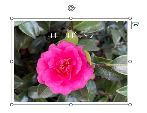 グループ化後に縮小した画像