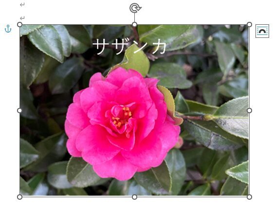 グループ化後、コピーして図として貼り付けした画像