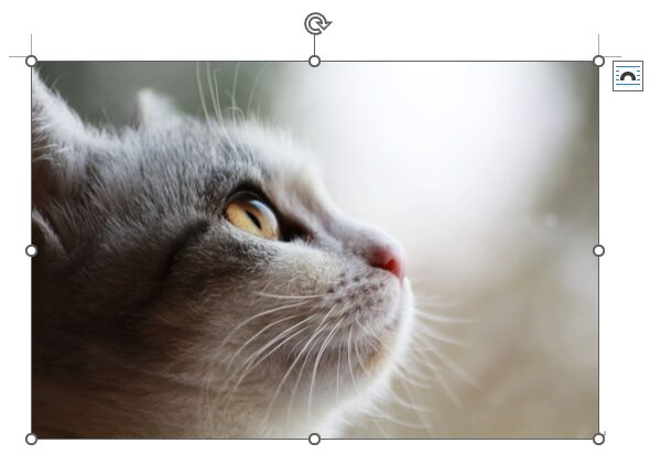 Word文書にストック画像を挿入