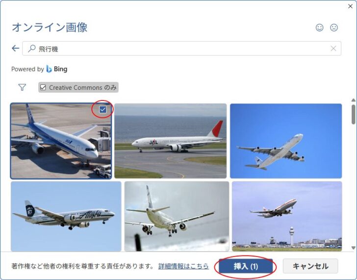 オンライン画像の飛行機の写真を挿入