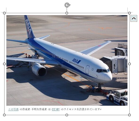 オンライン画像を挿入した文書