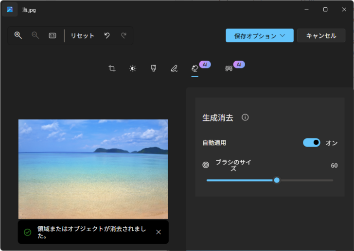 フォトの生成消去を使ってオブジェクトが消去された画面