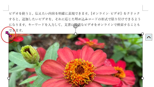 ［サイズ変更］ハンドルで大きさを調整