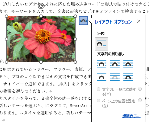 ［レイアウトオプション］の［行内］