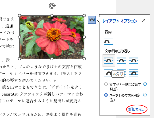 ［レイアウト オプション］の［詳細表示］