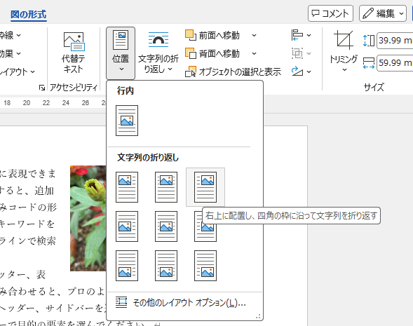 ［図の形式］タブの［位置］