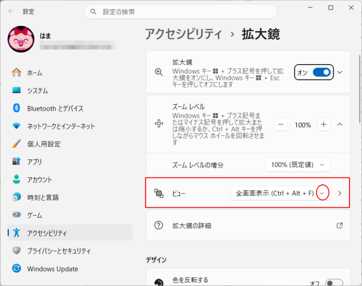 アクセシビリティ＞拡大鏡の［ビュー］