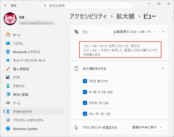 アクセシビリティ＞拡大鏡＞ビュー