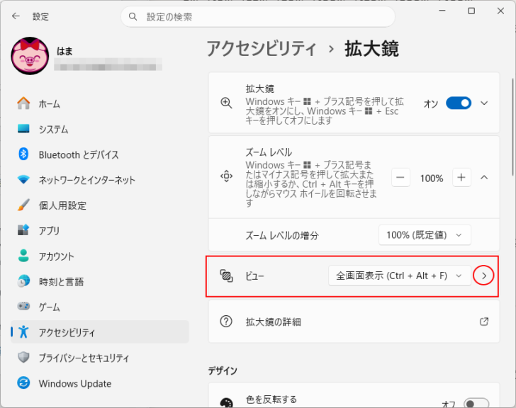 拡大鏡のビュー設定