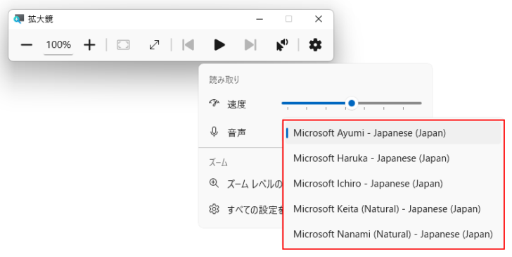 拡大鏡バーの音声の選択肢