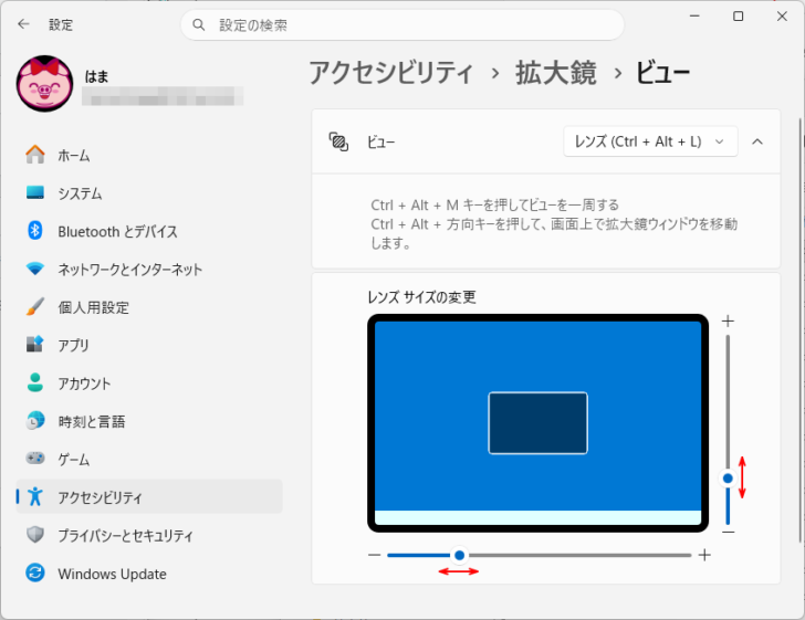 アクセシビリティ＞拡大鏡＞ビュー