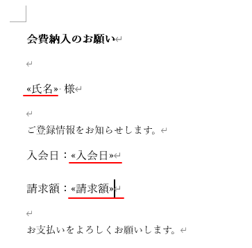 フィールドを挿入後の文書