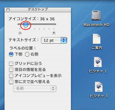 アイコンの大きさを変更するには 表示オプション で Mac 基本 初心者のためのoffice講座