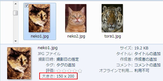 150X200のneko1