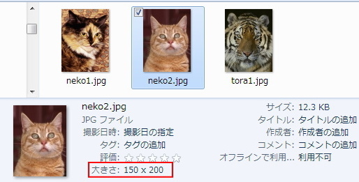 150X200のneko2