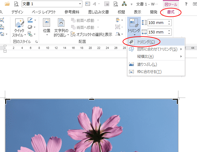 画像のトリミング部分は削除して保存したほうがいい Office 13 初心者のためのoffice講座