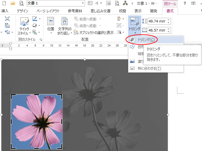 画像のトリミング部分は削除して保存したほうがいい Office 13 初心者のためのoffice講座