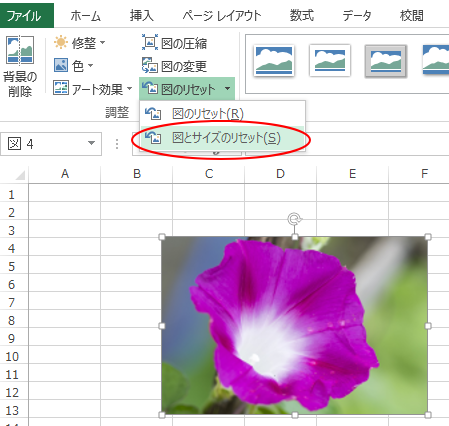 図のサイズとリセット