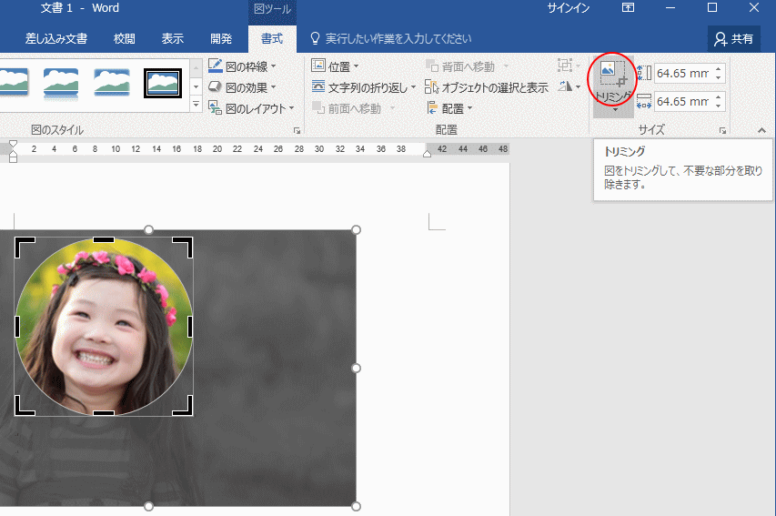 写真を丸く切り抜くには トリミング Word 16 初心者のためのoffice講座