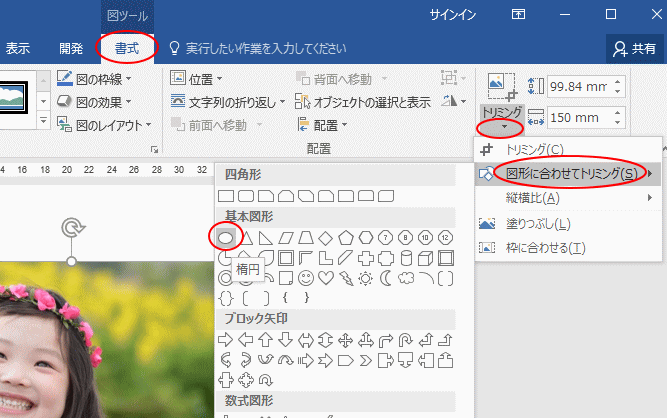 写真を丸く切り抜くには 図形に合わせてトリミング で簡単操作 Word 16 初心者のためのoffice講座