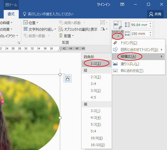 写真を丸く切り抜くには トリミング Word 16 初心者のためのoffice講座